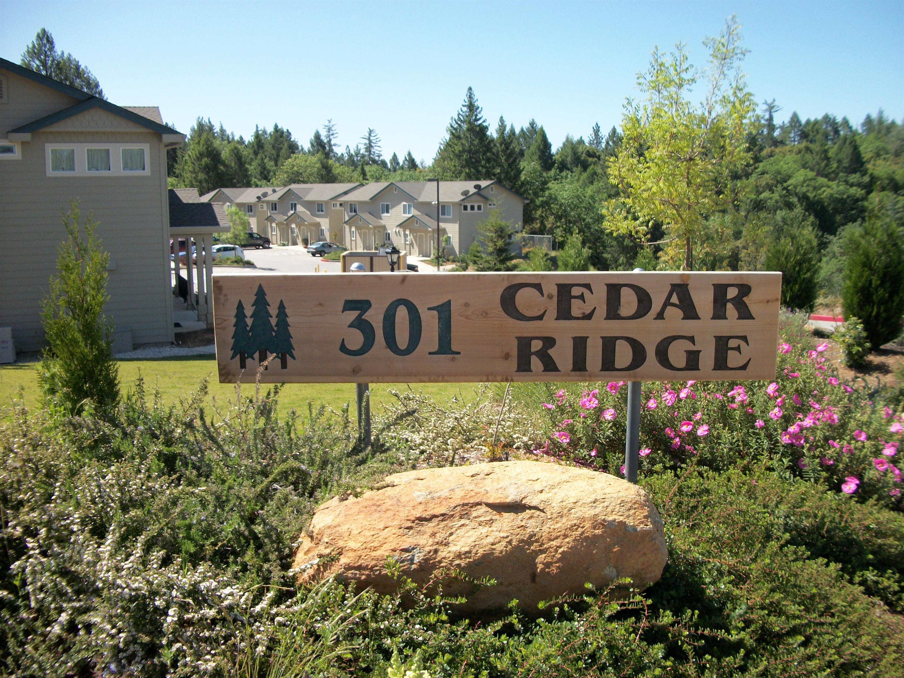 301 Canyon Creek Drive - 30
