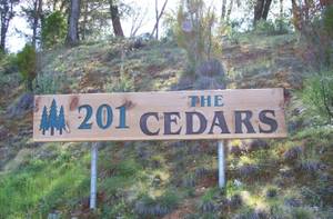 201 Cedar Ravine Cir  - #10